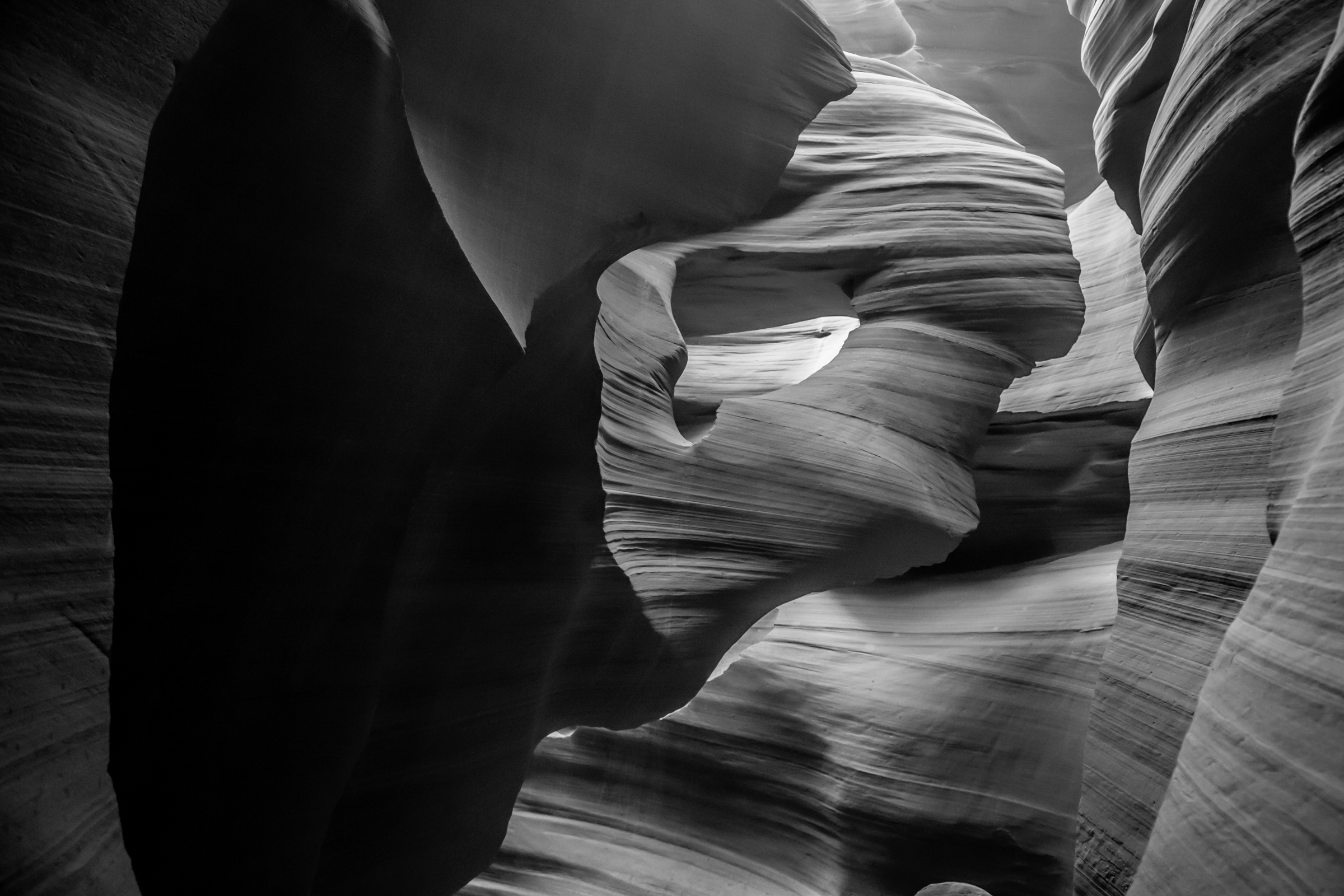 JASON SPETH LANDSCAPE 25